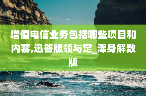 增值电信业务包括哪些项目和内容,迅答版领与定_浑身解数版