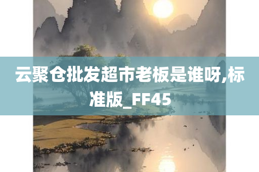 云聚仓批发超市老板是谁呀,标准版_FF45