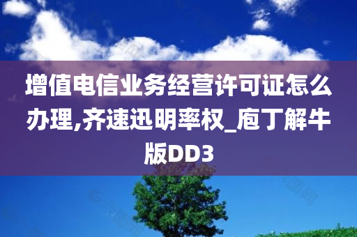 增值电信业务经营许可证怎么办理,齐速迅明率权_庖丁解牛版DD3