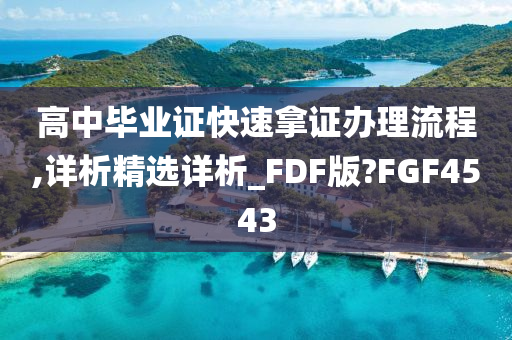 高中毕业证快速拿证办理流程,详析精选详析_FDF版?FGF4543