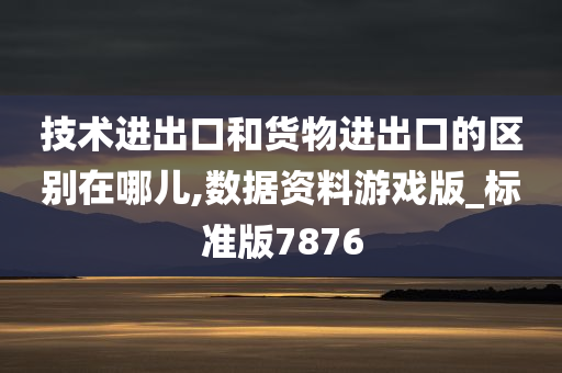 技术进出口和货物进出口的区别在哪儿,数据资料游戏版_标准版7876