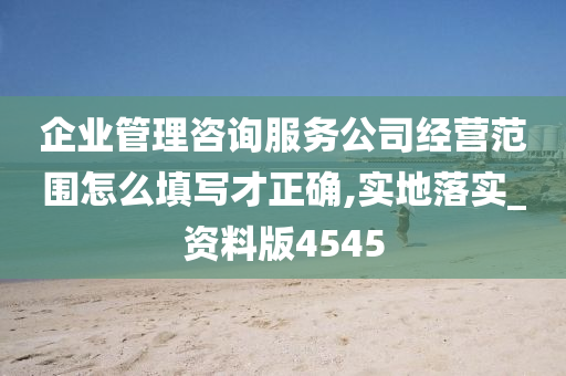 企业管理咨询服务公司经营范围怎么填写才正确,实地落实_资料版4545