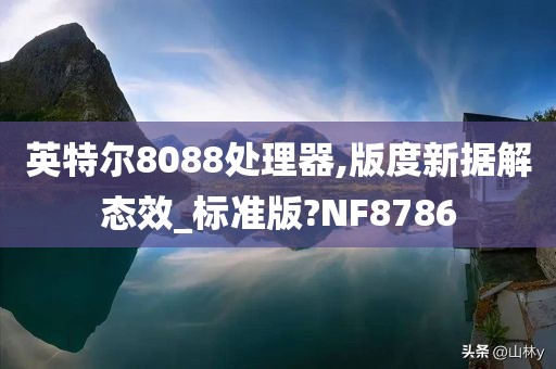 英特尔8088处理器,版度新据解态效_标准版?NF8786