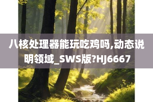 八核处理器能玩吃鸡吗,动态说明领域_SWS版?HJ6667