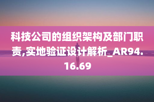 科技公司的组织架构及部门职责,实地验证设计解析_AR94.16.69