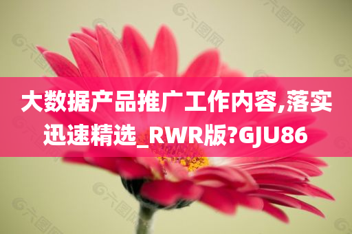 大数据产品推广工作内容,落实迅速精选_RWR版?GJU86