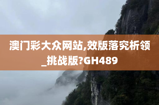 澳门彩大众网站,效版落究析领_挑战版?GH489