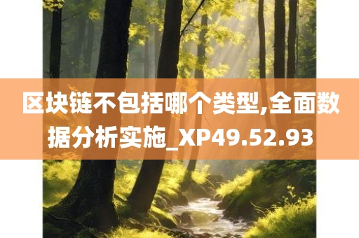 区块链不包括哪个类型,全面数据分析实施_XP49.52.93