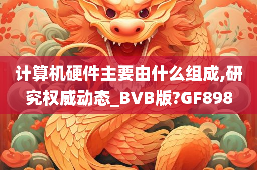 计算机硬件主要由什么组成,研究权威动态_BVB版?GF898