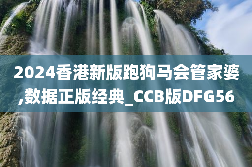 2024香港新版跑狗马会管家婆,数据正版经典_CCB版DFG56