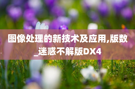 图像处理的新技术及应用,版数_迷惑不解版DX4