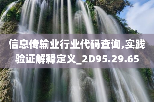 信息传输业行业代码查询,实践验证解释定义_2D95.29.65