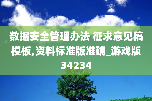 数据安全管理办法 征求意见稿模板,资料标准版准确_游戏版34234