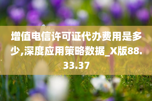 增值电信许可证代办费用是多少,深度应用策略数据_X版88.33.37