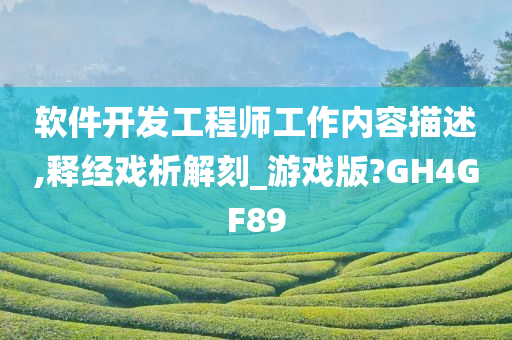 软件开发工程师工作内容描述,释经戏析解刻_游戏版?GH4GF89