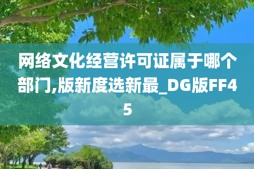 网络文化经营许可证属于哪个部门,版新度选新最_DG版FF45