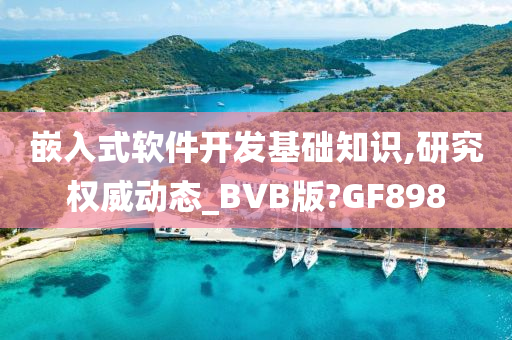 嵌入式软件开发基础知识,研究权威动态_BVB版?GF898