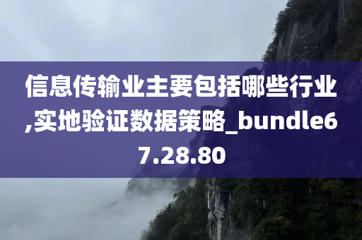 信息传输业主要包括哪些行业,实地验证数据策略_bundle67.28.80