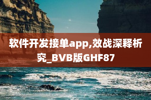 软件开发接单app,效战深释析究_BVB版GHF87