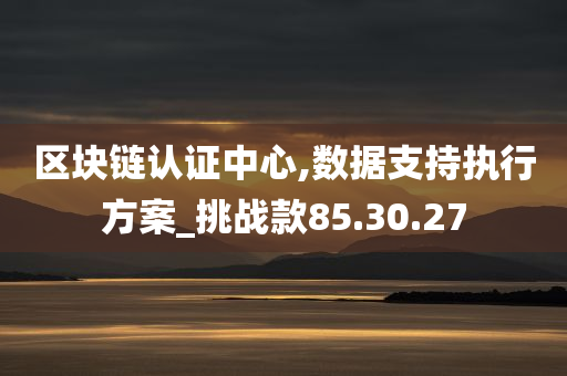 区块链认证中心,数据支持执行方案_挑战款85.30.27