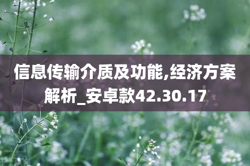 信息传输介质及功能,经济方案解析_安卓款42.30.17