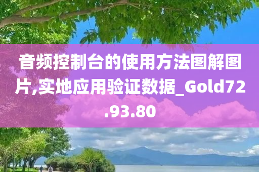 音频控制台的使用方法图解图片,实地应用验证数据_Gold72.93.80