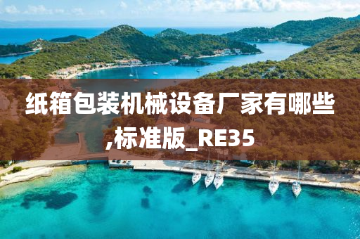 纸箱包装机械设备厂家有哪些,标准版_RE35