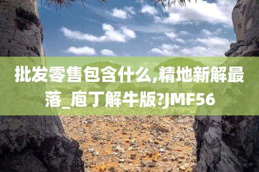 批发零售包含什么,精地新解最落_庖丁解牛版?JMF56