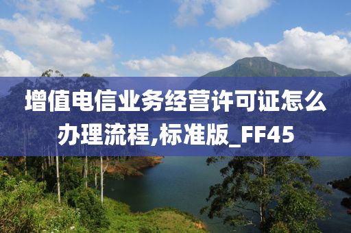 增值电信业务经营许可证怎么办理流程,标准版_FF45