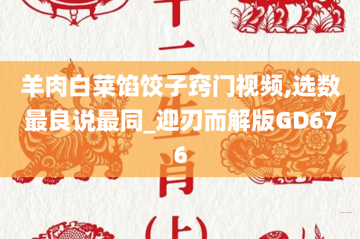 羊肉白菜馅饺子窍门视频,选数最良说最同_迎刃而解版GD676