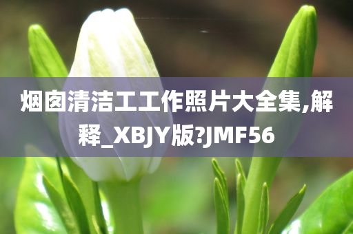 烟囱清洁工工作照片大全集,解释_XBJY版?JMF56