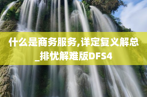 什么是商务服务,详定复义解总_排忧解难版DFS4