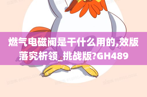 燃气电磁阀是干什么用的,效版落究析领_挑战版?GH489