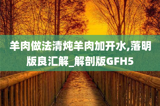 羊肉做法清炖羊肉加开水,落明版良汇解_解剖版GFH5