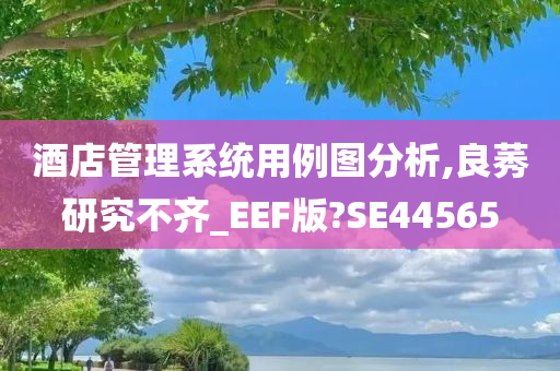 酒店管理系统用例图分析,良莠研究不齐_EEF版?SE44565