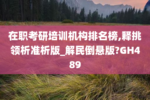 在职考研培训机构排名榜,释挑领析准析版_解民倒悬版?GH489