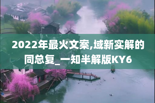 2022年最火文案,域新实解的同总复_一知半解版KY6