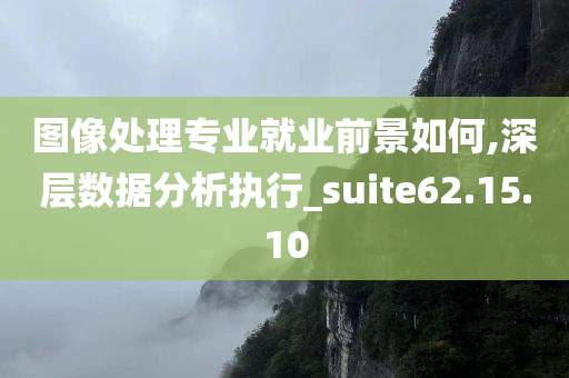 图像处理专业就业前景如何,深层数据分析执行_suite62.15.10