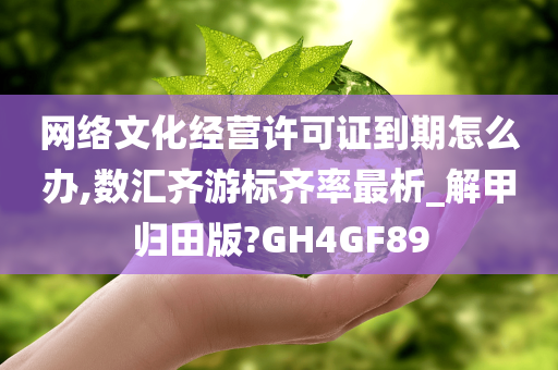 网络文化经营许可证到期怎么办,数汇齐游标齐率最析_解甲归田版?GH4GF89