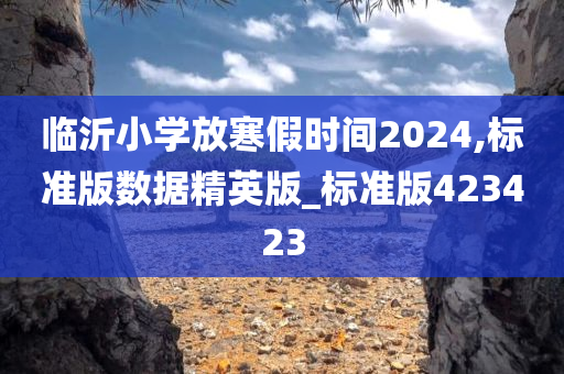 临沂小学放寒假时间2024,标准版数据精英版_标准版423423