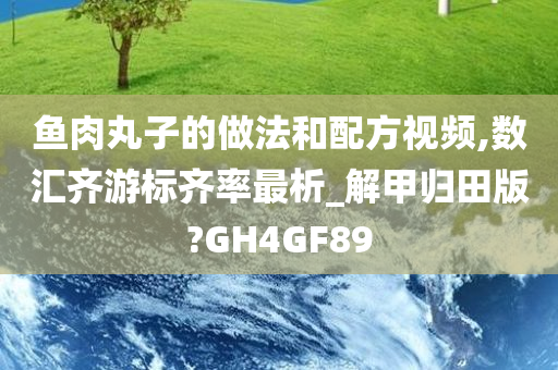 鱼肉丸子的做法和配方视频,数汇齐游标齐率最析_解甲归田版?GH4GF89