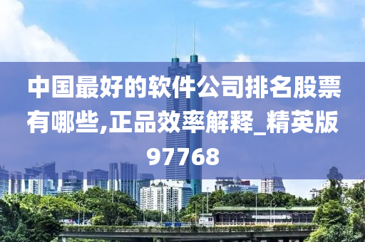 中国最好的软件公司排名股票有哪些,正品效率解释_精英版97768