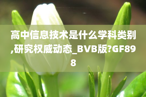 高中信息技术是什么学科类别,研究权威动态_BVB版?GF898