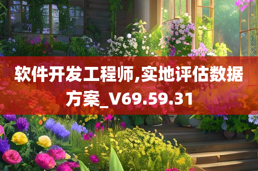 软件开发工程师,实地评估数据方案_V69.59.31