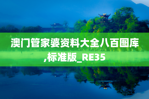 澳门管家婆资料大全八百图库,标准版_RE35