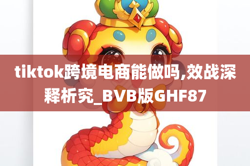 tiktok跨境电商能做吗,效战深释析究_BVB版GHF87