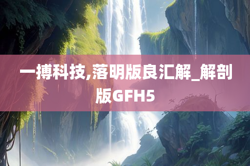 一搏科技,落明版良汇解_解剖版GFH5