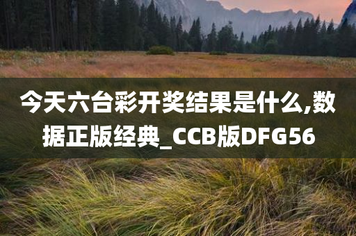 今天六台彩开奖结果是什么,数据正版经典_CCB版DFG56