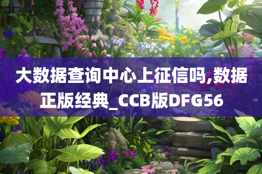 大数据查询中心上征信吗,数据正版经典_CCB版DFG56