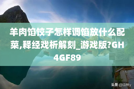 羊肉馅饺子怎样调馅放什么配菜,释经戏析解刻_游戏版?GH4GF89